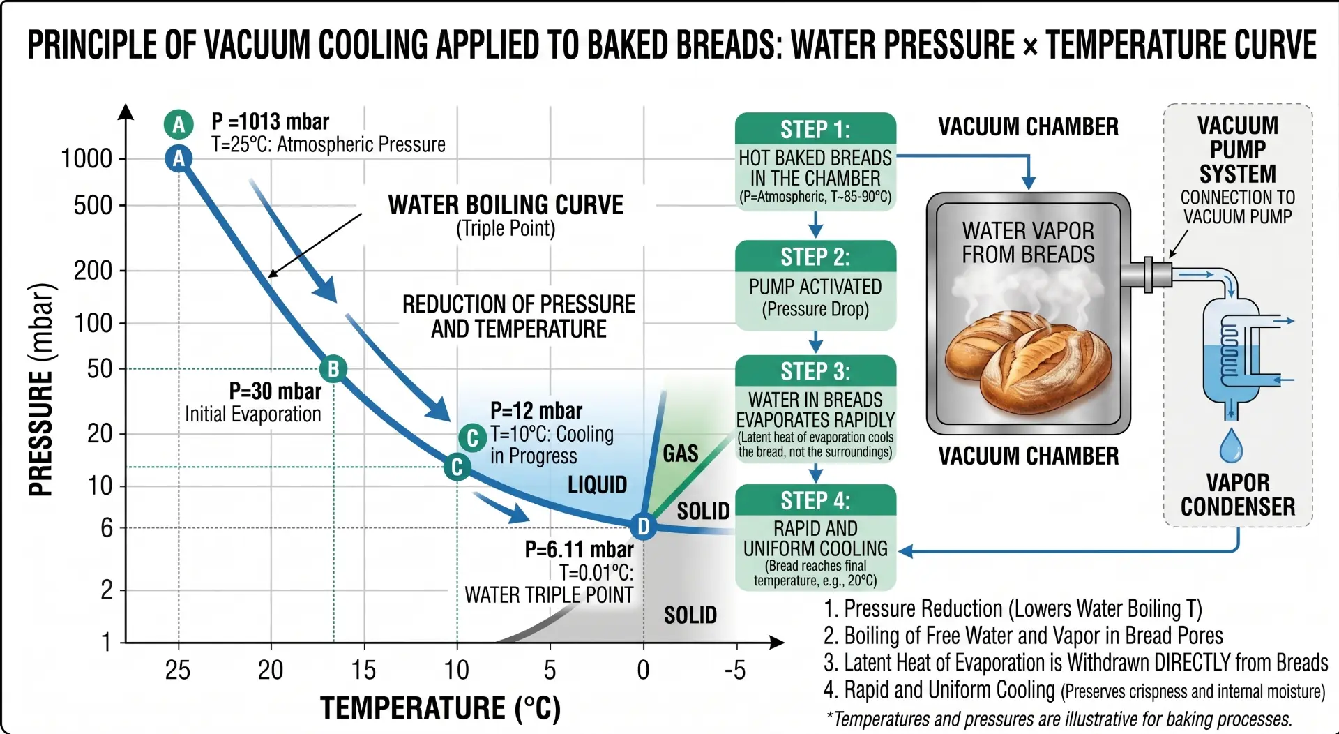 Diagrama do princípio do resfriamento a vácuo aplicado a pães assados, mostrando a curva pressão × temperatura da água e o fluxo de quatro passos na câmara de vácuo com bomba e condensador de vapor
